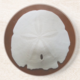 Sand Dollar Coasters