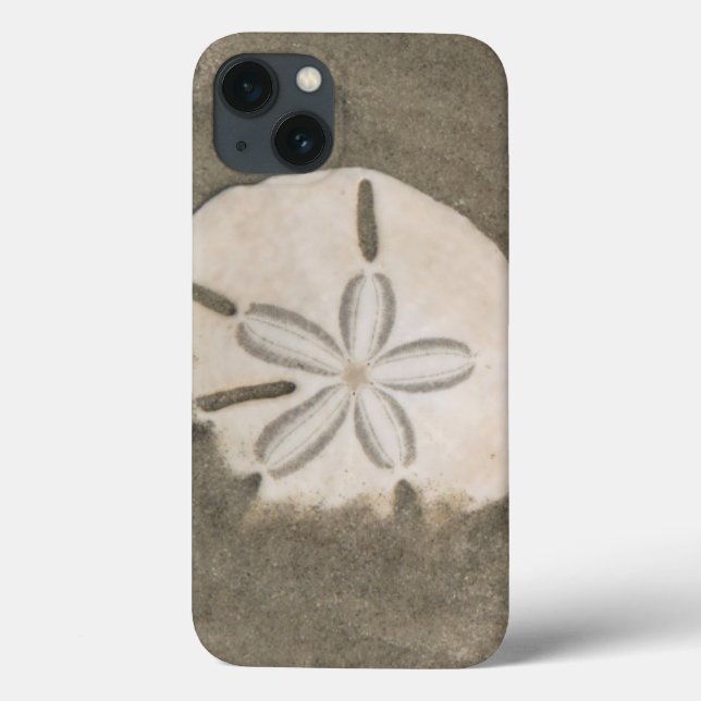 Sand dollar (Echinarachnius parma) Case-Mate iPhone Case (Back)