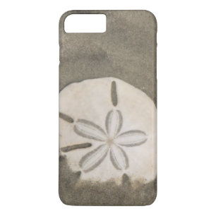 Sand dollar (Echinarachnius parma) iPhone 8 Plus/7 Plus Case