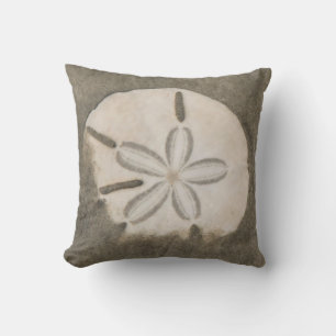 Sand dollar (Echinarachnius parma) Cushion