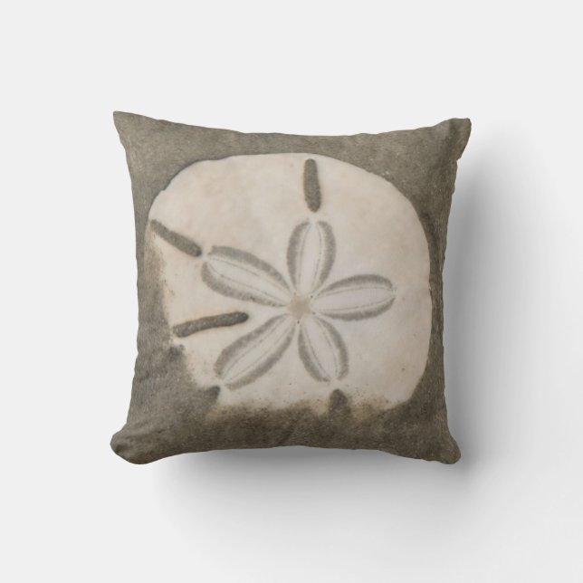 Sand dollar (Echinarachnius parma) Cushion (Front)