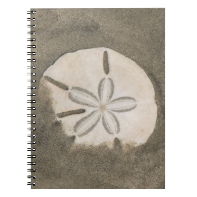 Sand dollar (Echinarachnius parma) Notebook (Front)