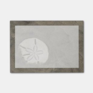 Sand dollar (Echinarachnius parma) Post-it Notes