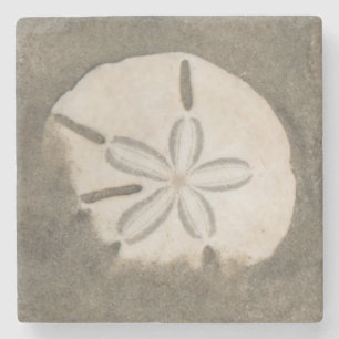 Sand dollar (Echinarachnius parma) Stone Coaster