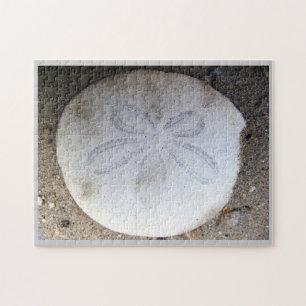 Sand Dollar Jigsaw Puzzle