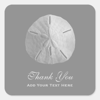 Sand Dollar on Grey Thank You Square Sticker