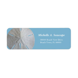 Sand Dollar on Light Blue