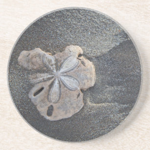 Sand dollar on sand coaster
