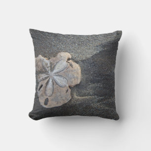 Sand dollar on sand cushion