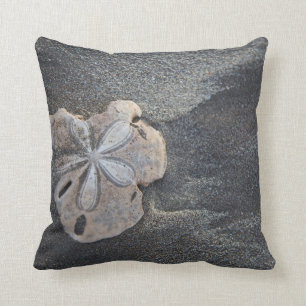 Sand dollar on sand cushion