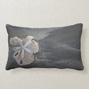 Sand dollar on sand lumbar cushion