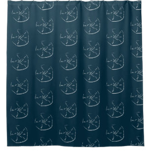 Sand Dollar Pattern Drawing Ocean Blue Shower Curtain