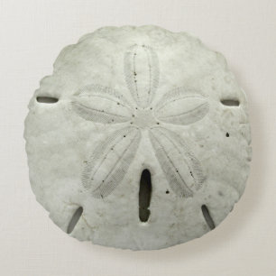 Sand Dollar Pillow