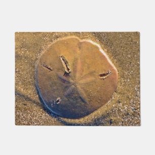 Sand Dollar Revealed On Beach   Hilton Head Island Doormat
