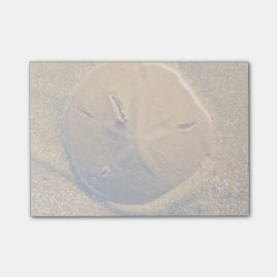 Sand Dollar Revealed On Beach Hilton Head Island Post-it Notes