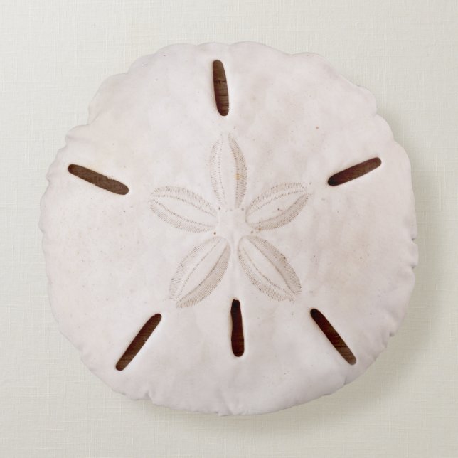 Sand Dollar Round Cushion (Front)