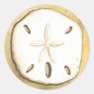 Sand Dollar Sea Shell Classic Round Sticker