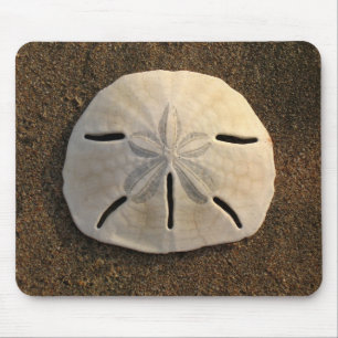 Sand Dollar Sea Shell Sand Beach Mousepad
