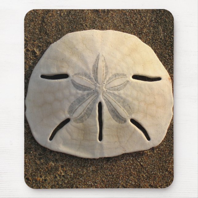 Sand Dollar Sea Shell Sand Beach Mousepad (Front)