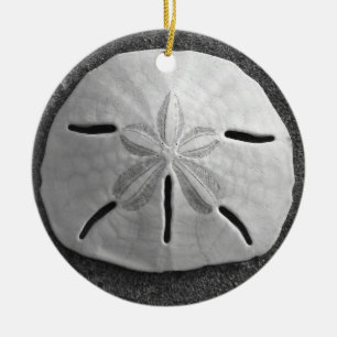 Sand Dollar Seashell Beach Ornament Pendant