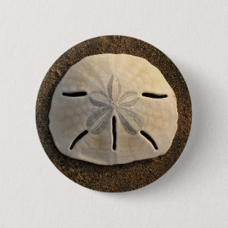 Sand Dollar Seashell Photo Custom Pin Button
