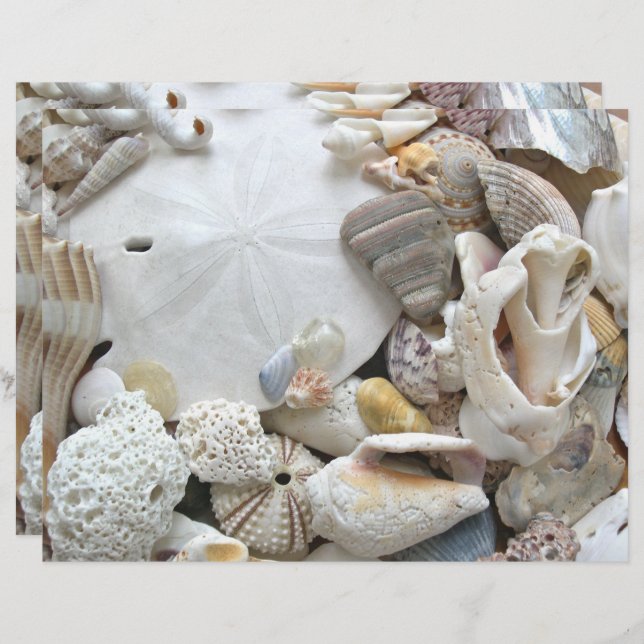 Sand Dollar Seashells Blank Scrapbook Paper (Front/Back)