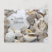 Sand Dollar Seaside Lifestyle New Addres