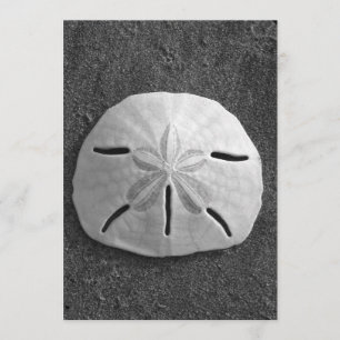 Sand Dollar Shell Beach Invitation (B&W Photo)