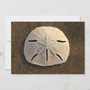 Sand Dollar Shell Beach Invitation (Colour Photo)