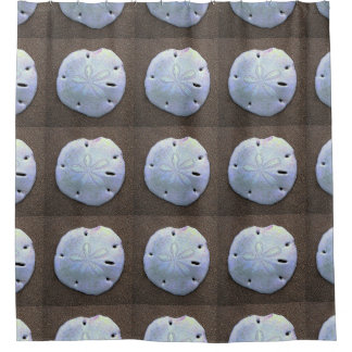 sand dollar shower curtain