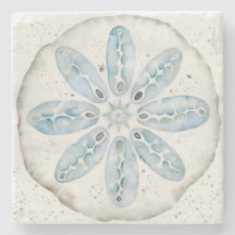 Sand Dollar Summer Drink Coaster