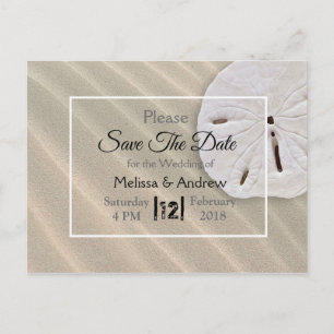 Sand Dollar Themed Wedding Save the Date Announcement Postcard