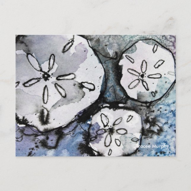 Sand Dollar Trio Postcard (Front)