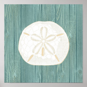 Sand Dollar Vintage Aqua Wood Beach Poster