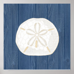 Sand Dollar Vintage Blue Wood Beach Poster
