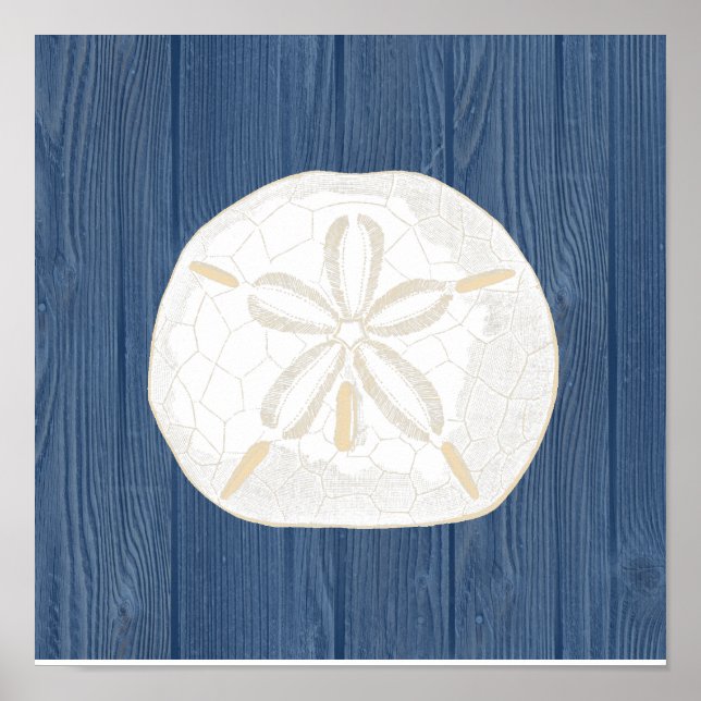 Sand Dollar Vintage Blue Wood Beach Poster (Front)