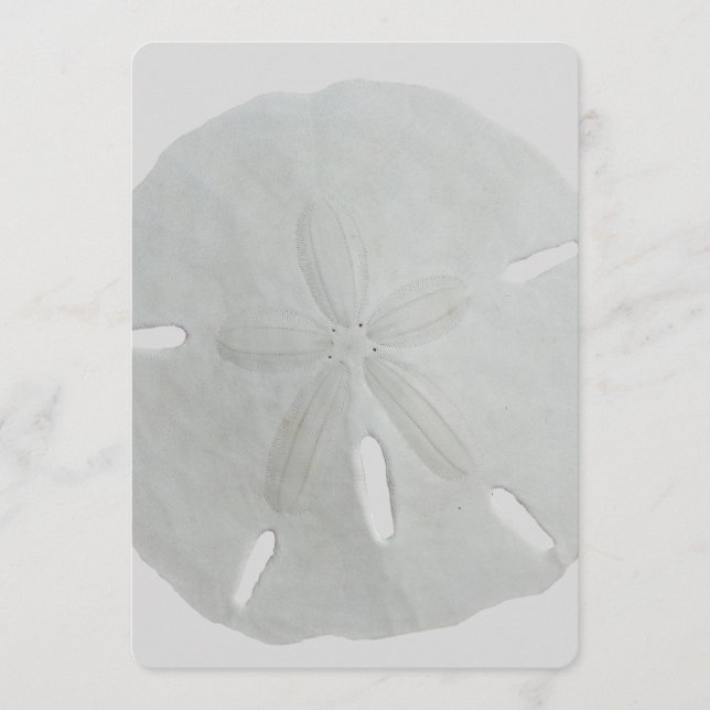 Sand Dollar Wedding Fan Program Paper Programme (Front)