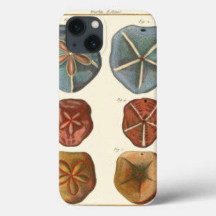 Sand Dollars Gems iPhone 13 Case