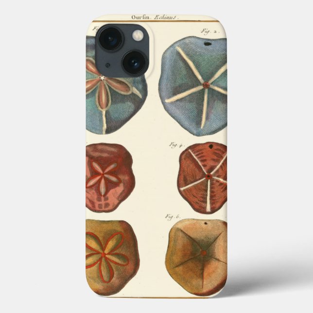 Sand Dollars Gems Case-Mate iPhone Case (Back)