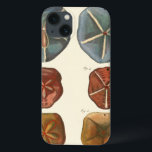 Sand Dollars Gems iPhone 13 Case<br><div class="desc">Sand dollars are a very unique sea gem. This image encompasses very unique and colorful sand dollars. Diderot contrasted these sand dollars with a soft cream colored tone background. Get your sand dollar gems on your zazzle product today.</div>