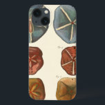 Sand Dollars Gems iPhone 13 Case<br><div class="desc">Sand dollars are a very unique sea gem. This image encompasses very unique and colorful sand dollars. Diderot contrasted these sand dollars with a soft cream colored tone background. Get your sand dollar gems on your zazzle product today.</div>