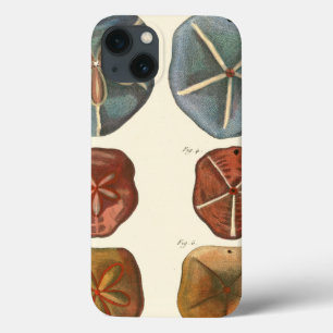 Sand Dollars Gems iPhone 13 Case