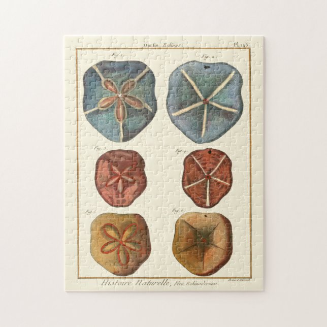 Sand Dollars Gems Jigsaw Puzzle (Vertical)