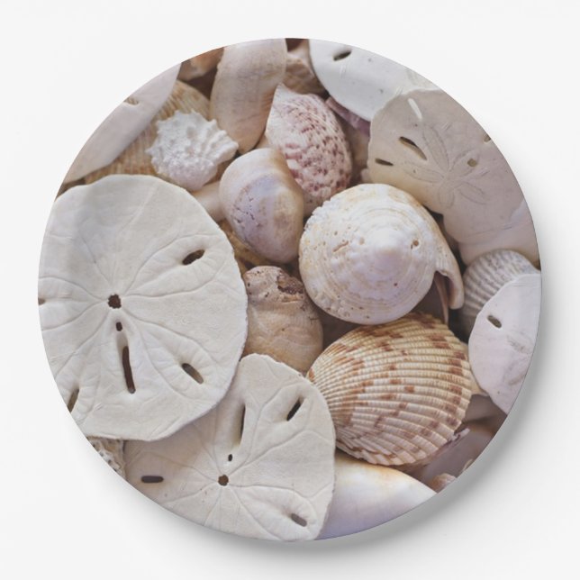 Sand Dollars Paper Plates (Front)
