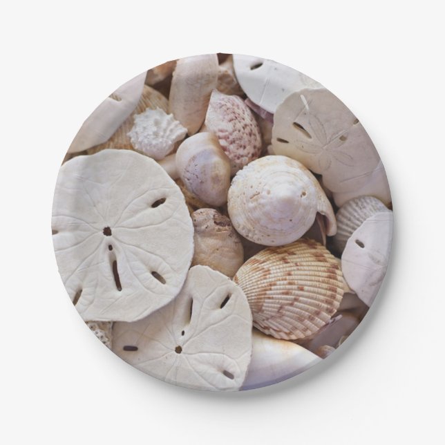 Sand Dollars Paper Plates (Front)
