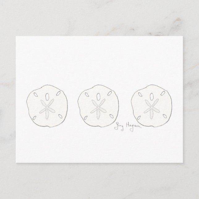Sand Dollars Postcard (Front)