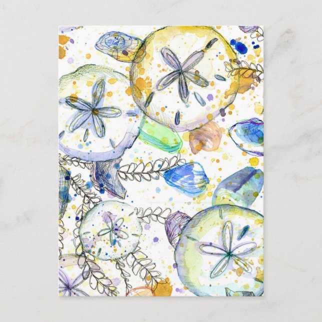 Sand Dollars Seashells Ocean Sea Treasures Postcard (Front)