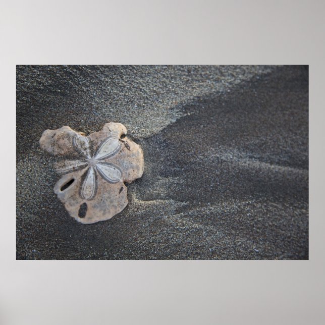 Sand Dolon sand Poster (Front)