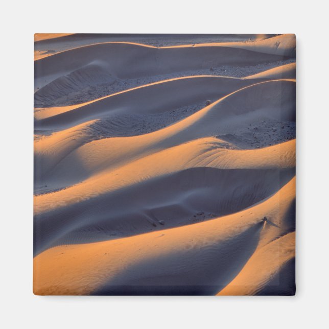 Sand Dune Abstract Magnet (Front)