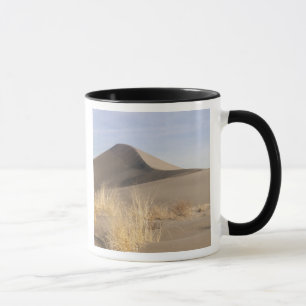Sand dune formations. Bruneau Dunes State Park 2 Mug